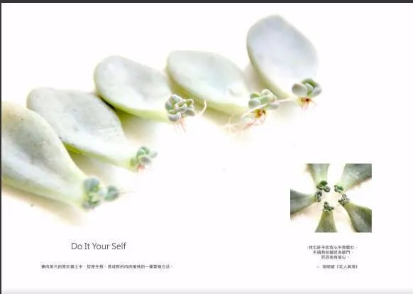 透過設計， 展現影像價值…・第 8 張