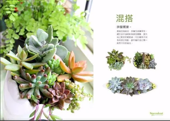 透過設計， 展現影像價值…・第 9 張