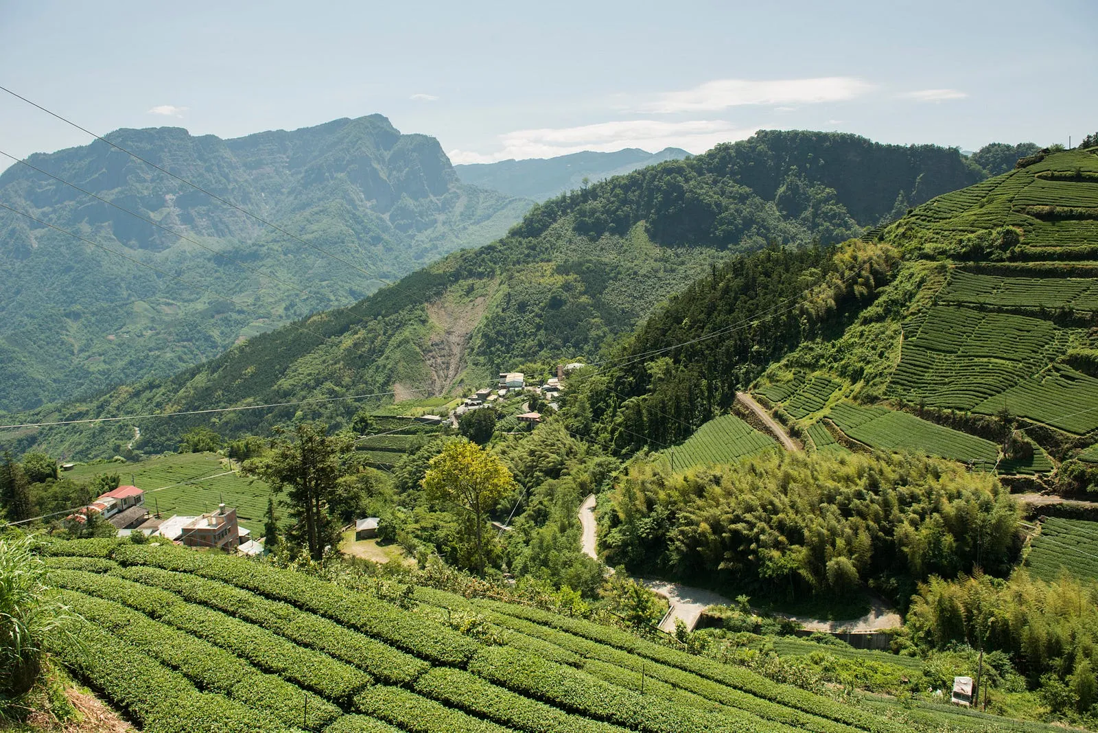 坐看雲起，喝出土地的味道・第 3 張