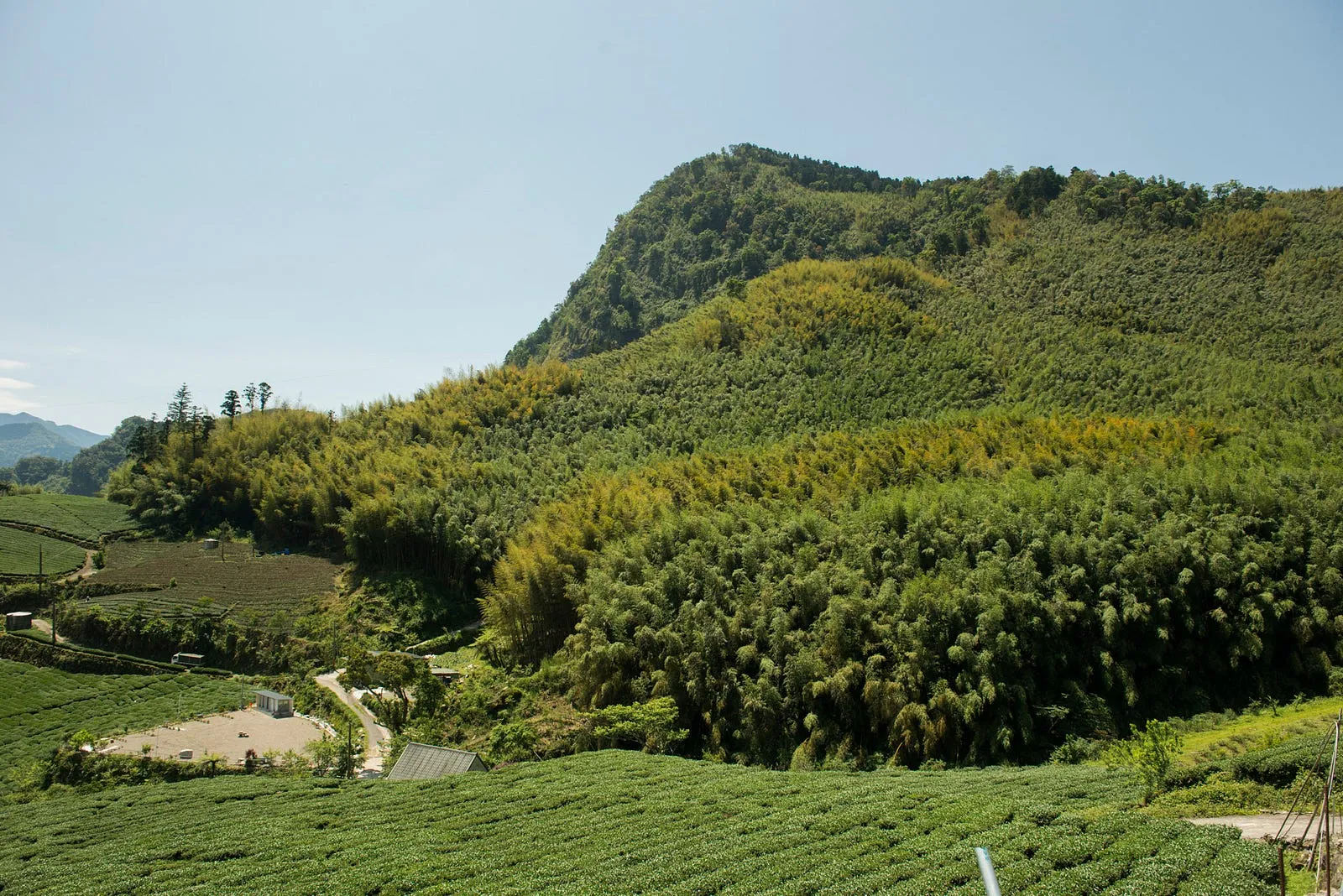 坐看雲起，喝出土地的味道・第 4 張