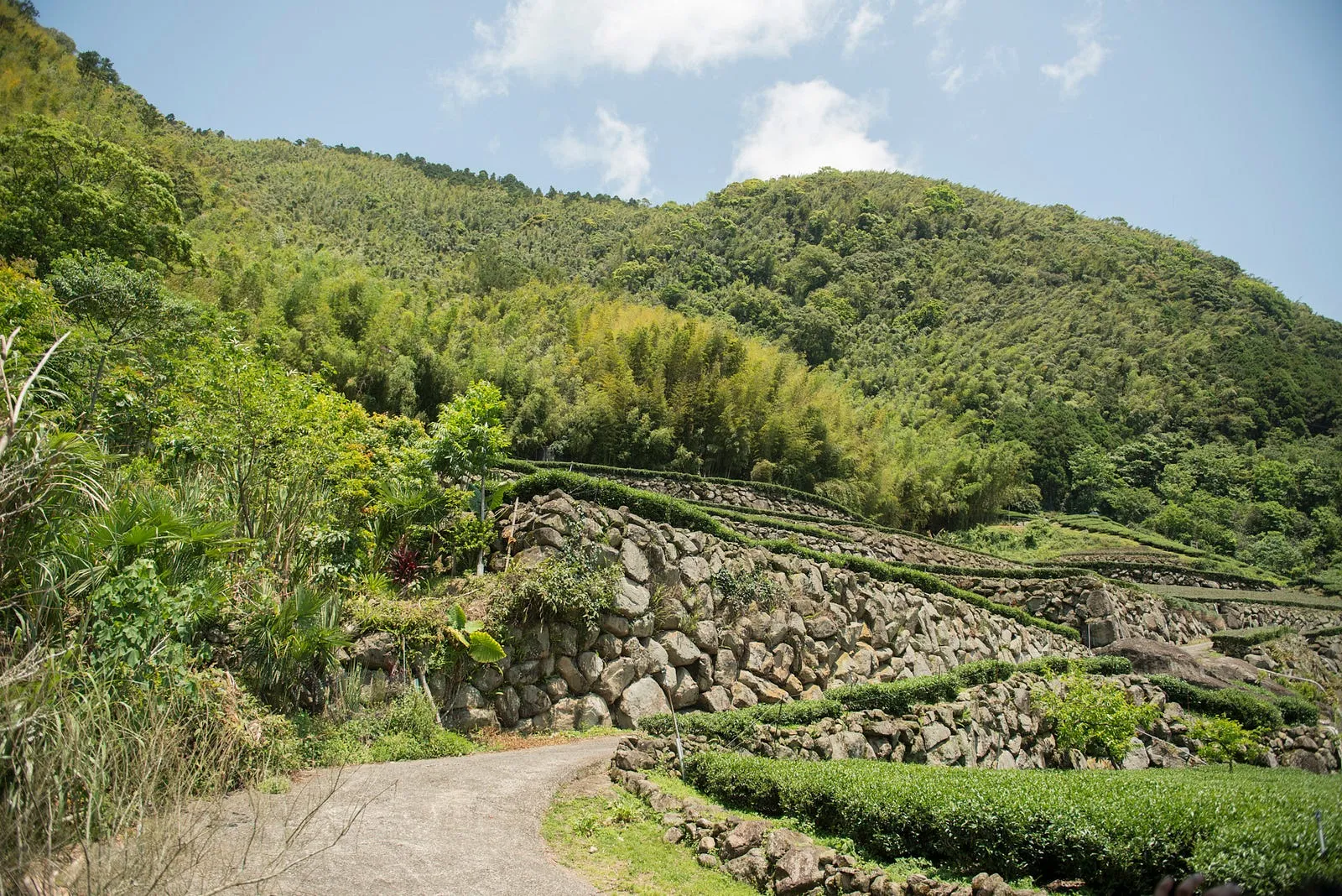 坐看雲起，喝出土地的味道・第 5 張