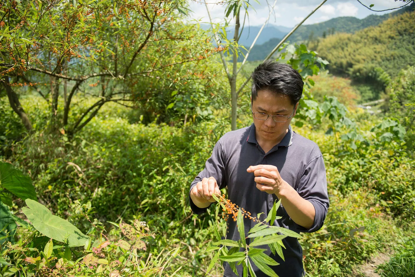 坐看雲起，喝出土地的味道・第 23 張