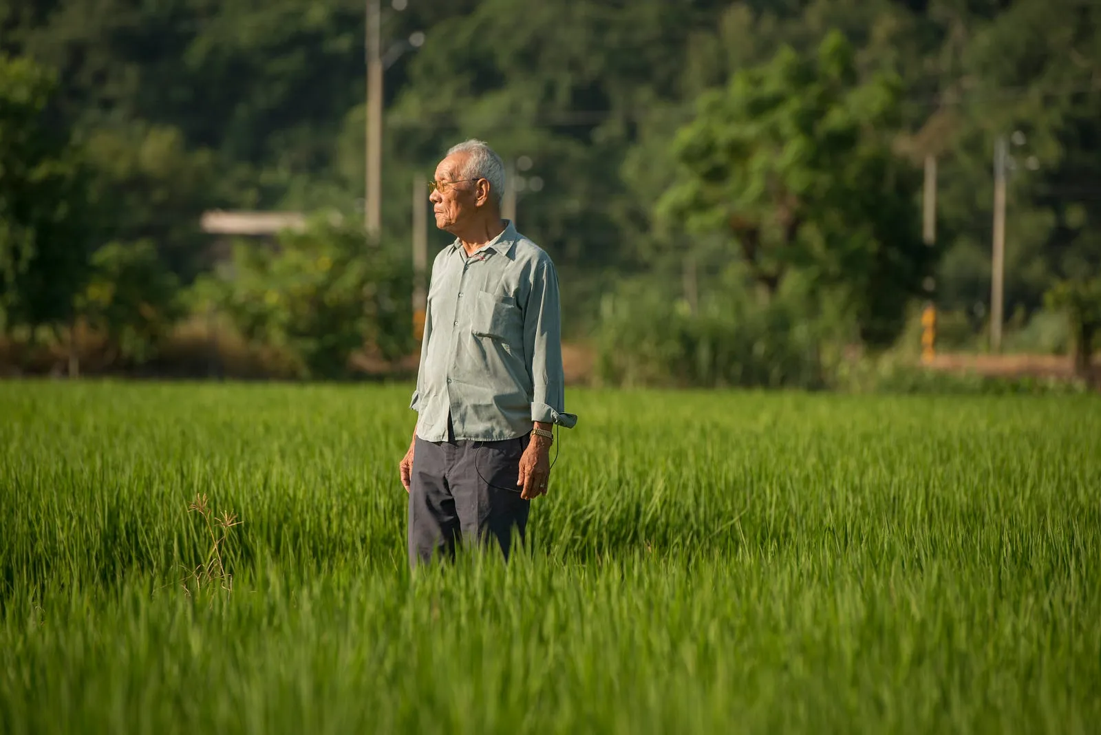 2013年十大好米與農民・第 16 張