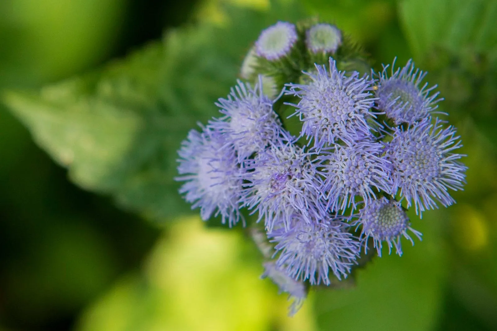創作前，先看看，再碰碰・第 1 張
