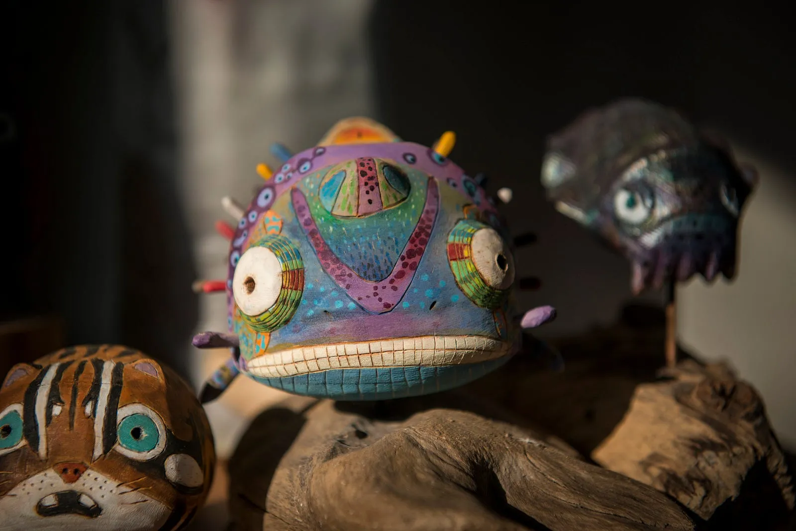 大寒，14度的溫暖晨光・第 7 張
